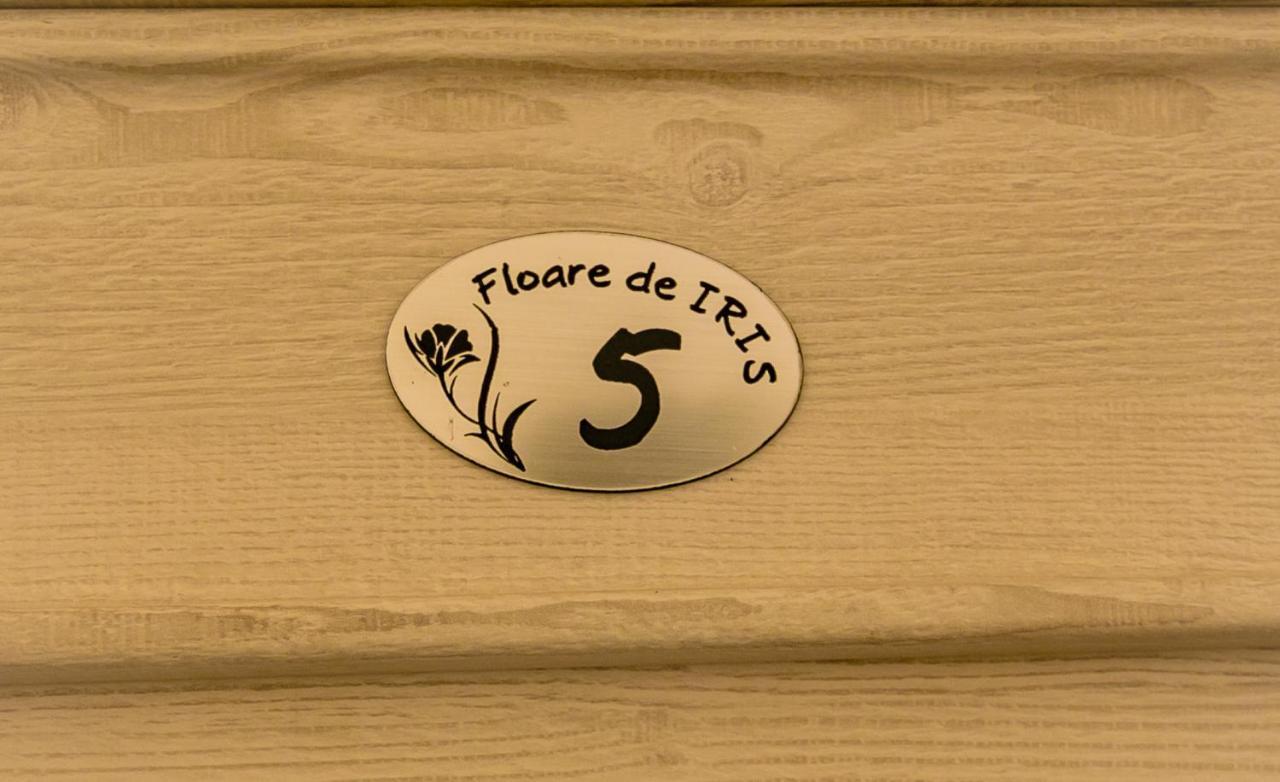 Hotel Floare De Iris Vama Veche Exteriér fotografie
